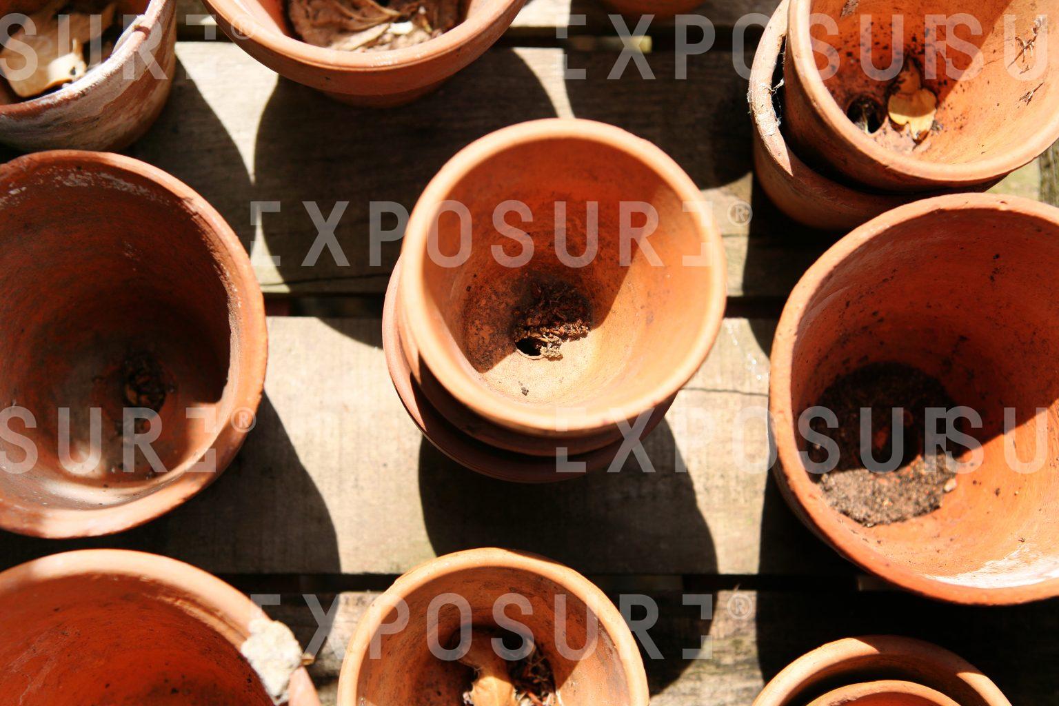 Plant pots