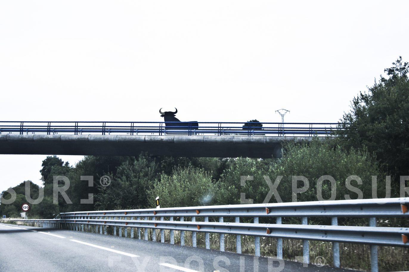 Toro de Osborne