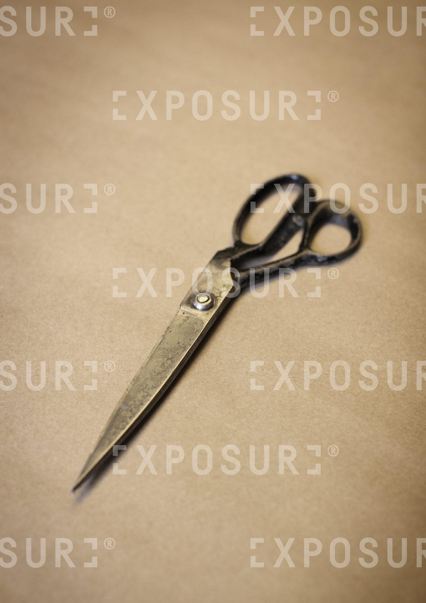 Tailor’s Scissors.