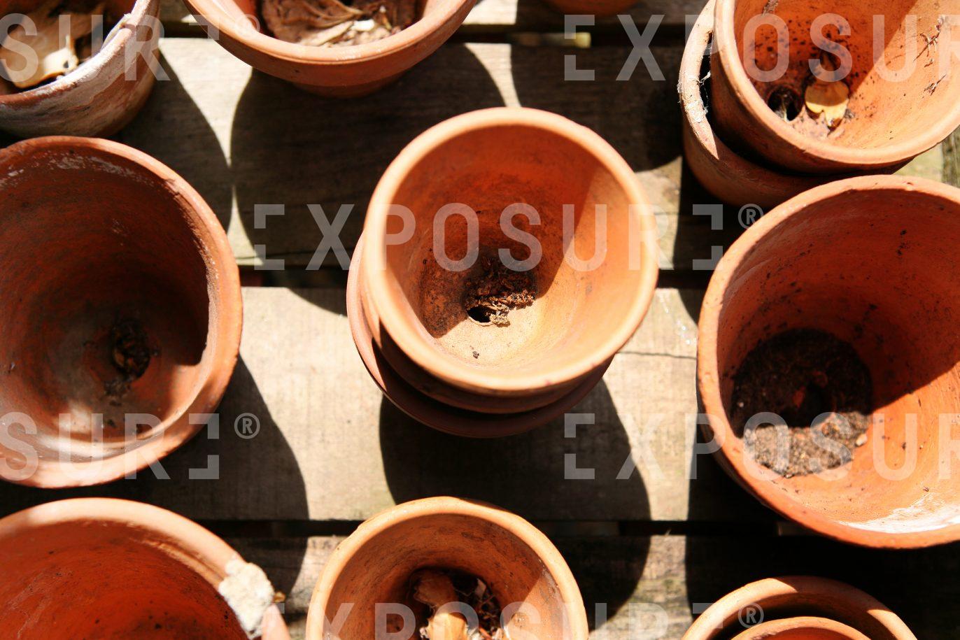 Plant pots