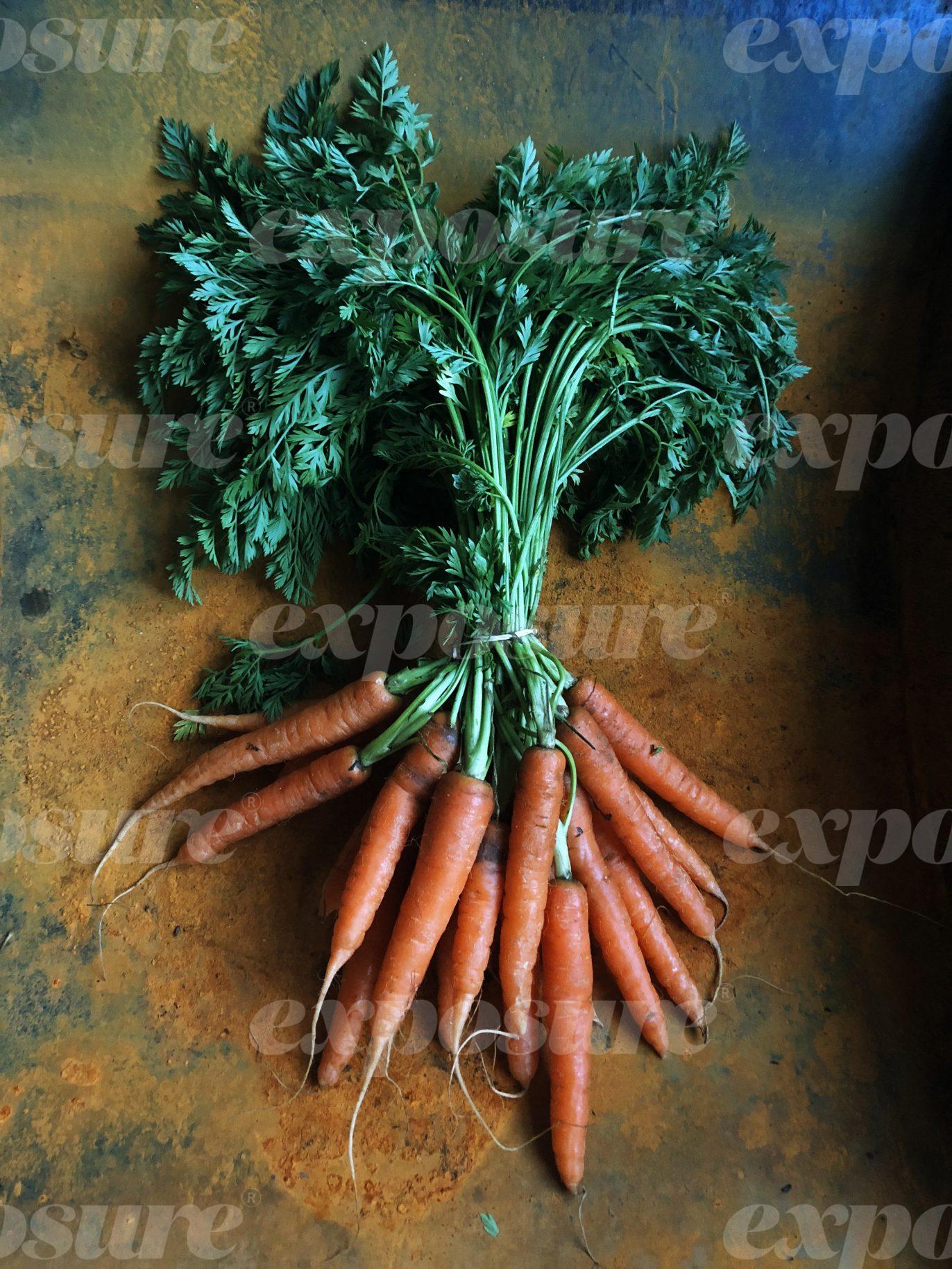 Carrots