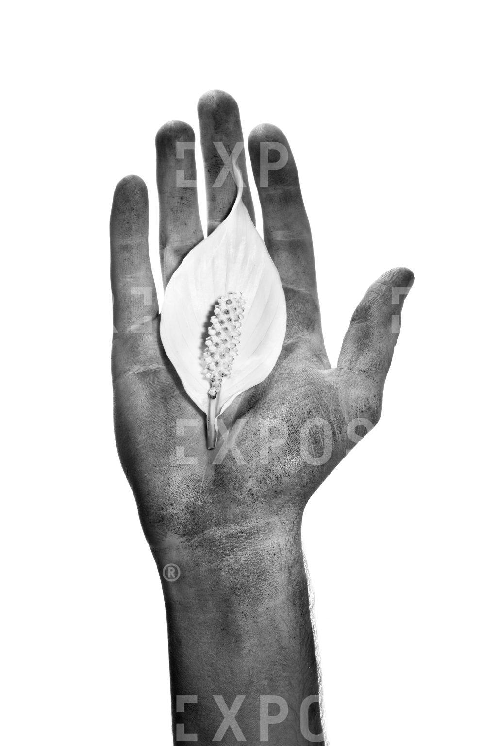 A portrait of a dirty right hand