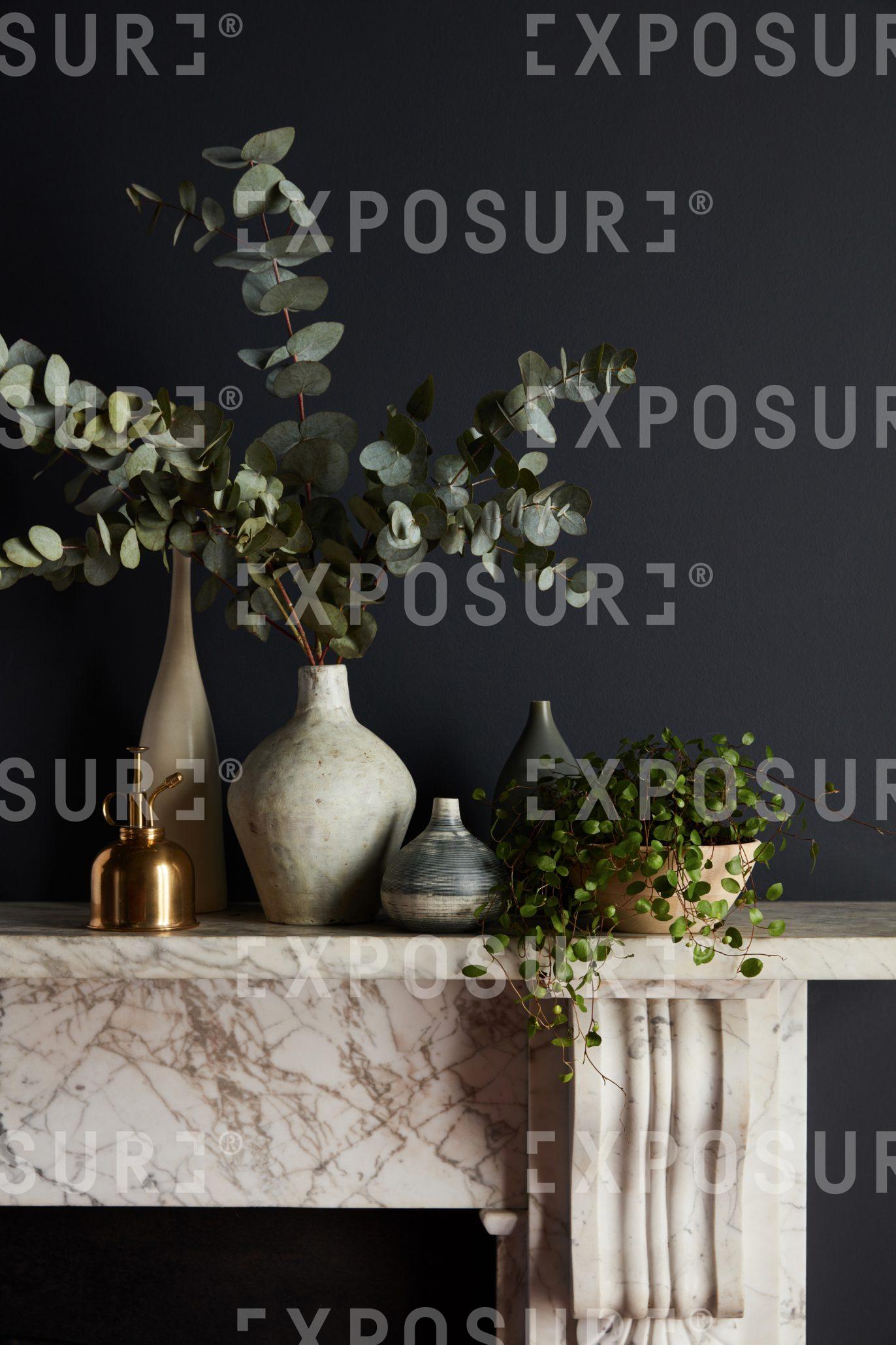 Dark Plant Still Life